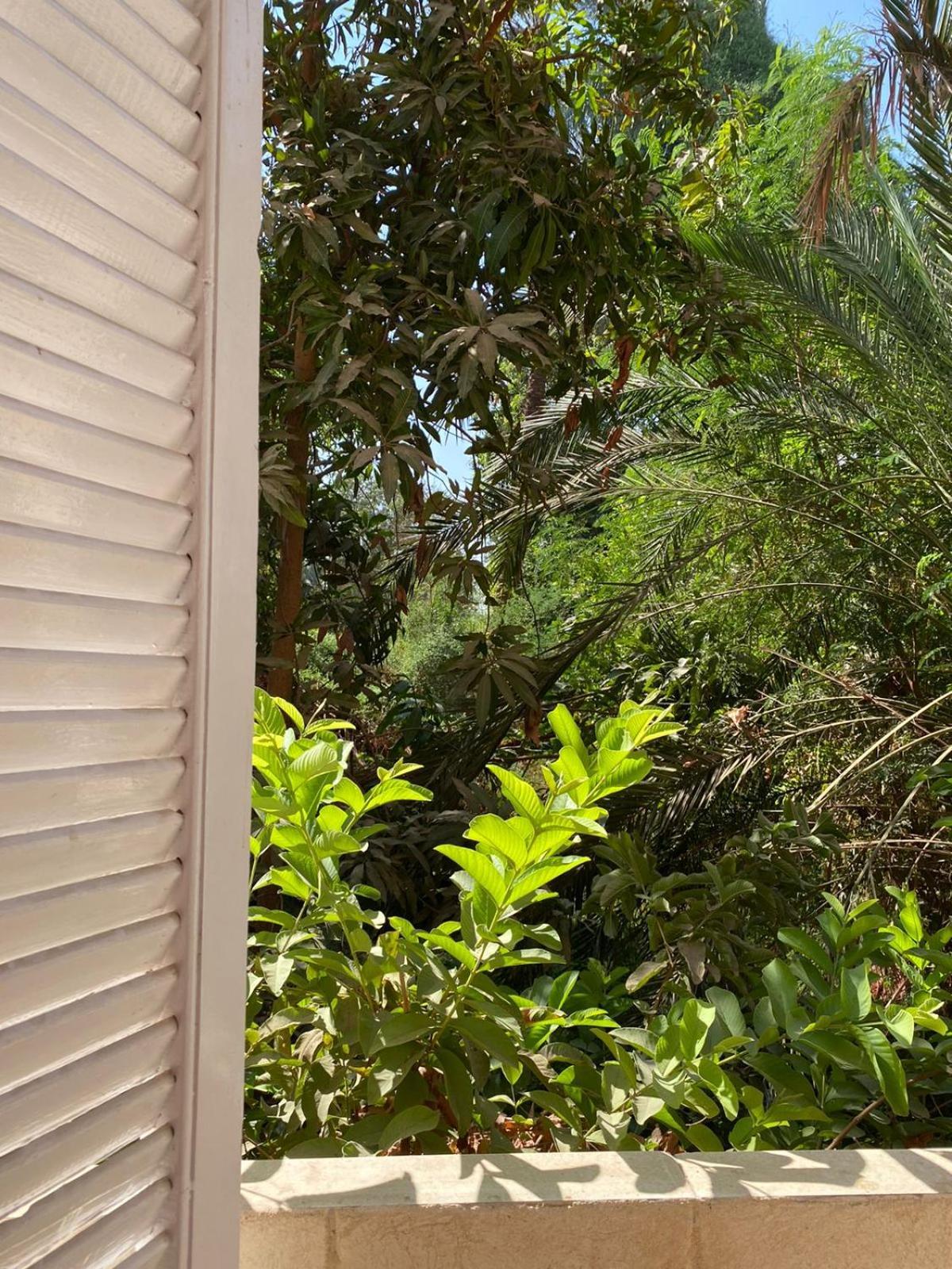 Abu Guest House アスワン エクステリア 写真